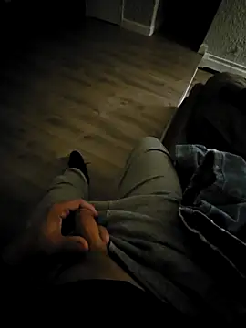 Snapshot of Cemg chatting on January 2026 12:27:02 AM Cemg online show from January 2026 12:27:02 AM