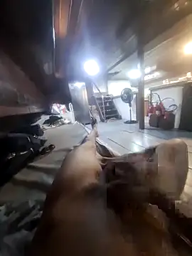 Snapshot of Jhon22z chatting on February 2026 04:37:02 PM Jhon22z online show from February 2026 04:37:02 PM