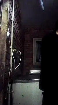 Cameron puppy online show from March 2025 06:00:01 PM