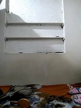 Cameron puppy online show from May 2026 10:31:01 AM