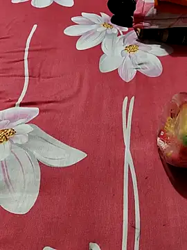 Snapshot of Dil-Ka-Radhika chatting on October 2025 02:19:02 AM Dil-Ka-Radhika online show from October 2025 02:19:02 AM