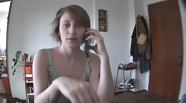 stupid babybird online show from December 2024 09:06:01 PM