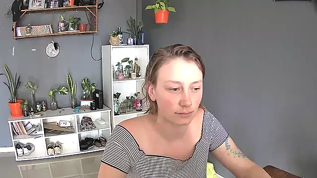 stupid babybird online show from February 2025 07:03:01 PM