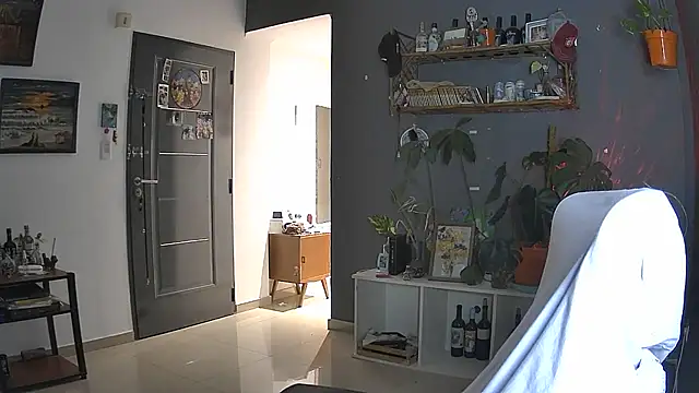 stupid babybird online show from April 2026 11:13:02 PM