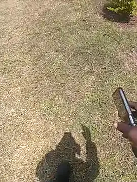 NattyDreadKenya online show from July 2026 09:51:02 AM