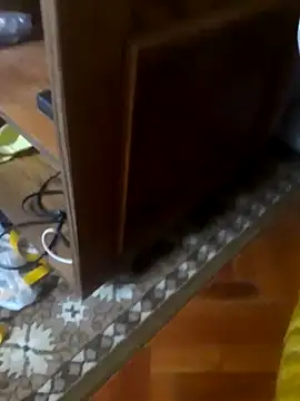 Snapshot of babyboy74 chatting on October 2025 06:23:02 AM babyboy74 online show from October 2025 06:23:02 AM