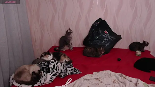 Olivia Winston online show from December 2024 09:50:01 PM