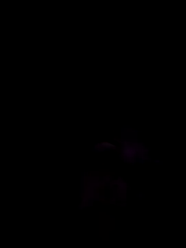 stellaquinn1775 online show from April 2026 12:49:01 PM