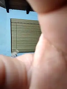 piton77 online show from October 2025 10:46:02 AM