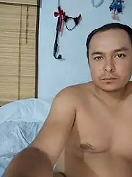 piton77 online show from July 2026 09:36:02 AM