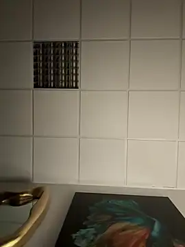 Snapshot of hardmecl chatting on February 2025 08:50:02 PM hardmecl online show from February 2025 08:50:02 PM