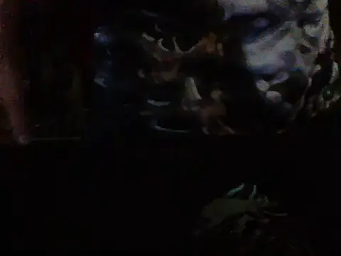 mrdemoncrowly online show from July 2026 04:42:02 AM