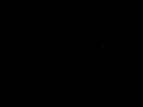 Blkstylion online show from June 2026 10:08:01 AM