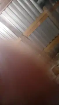 Snapshot of Moreno1813 chatting on November 2025 06:13:01 AM Moreno1813 online show from November 2025 06:13:01 AM