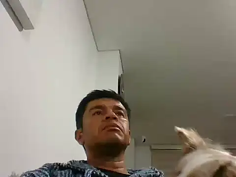 Snapshot of perxxxeo_ chatting on October 2025 01:38:01 AM perxxxeo online show from October 2025 01:38:01 AM