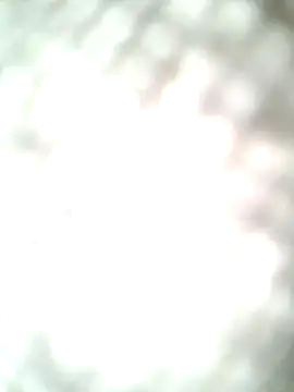 Snapshot of molozeb chatting on October 2025 11:42:02 AM molozeb online show from October 2025 11:42:02 AM