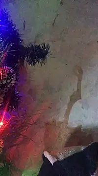 Snapshot of ChantalXOrchid chatting on January 2025 10:13:02 PM ChantalXOrchid online show from January 2025 10:13:02 PM