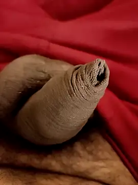 Ashish02345 online show from January 2025 08:31:02 PM