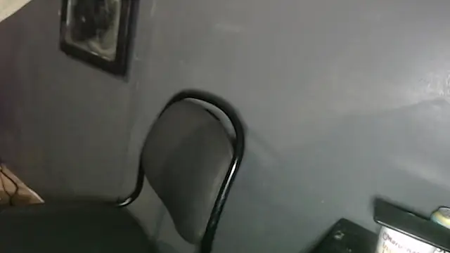 Dogz n daugthers online show from February 2025 12:19:02 AM