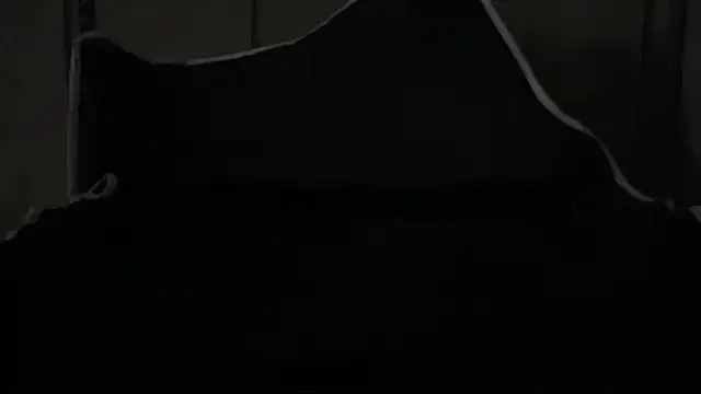 Dogz n daugthers online show from April 2026 02:25:02 PM