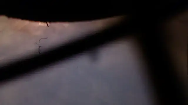 Cordt30 online show from February 2026 04:46:01 PM