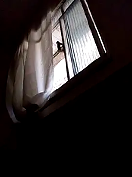 Snapshot of mario_pedro chatting on February 2026 04:33:01 PM mario pedro online show from February 2026 04:33:01 PM