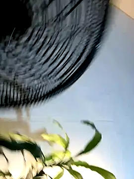 Snapshot of _Miguel100 chatting on November 2025 02:56:02 AM Miguel100 online show from November 2025 02:56:02 AM