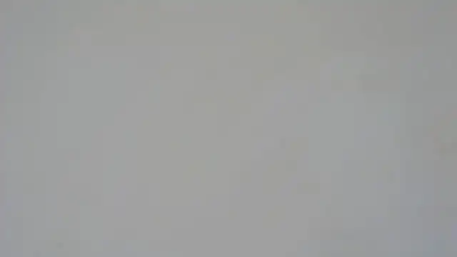 GiseleReine online show from February 2025 01:33:01 PM