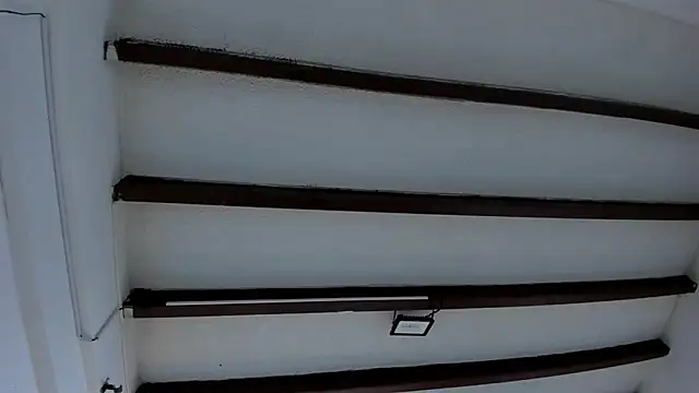 Oriana Guzman online show from January 2025 12:06:01 PM