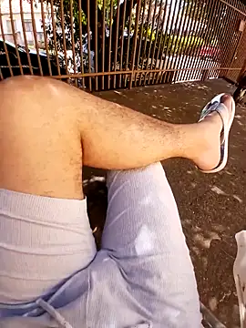 Snapshot of braza66 chatting on April 2026 02:47:01 PM braza66 online show from April 2026 02:47:01 PM