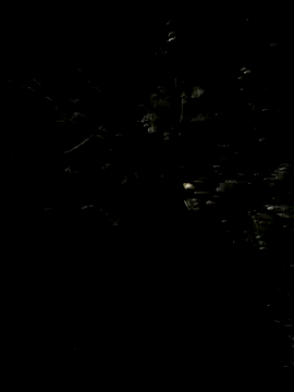 Hancoxx online show from July 2026 09:17:02 PM