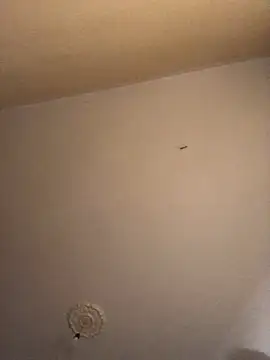 Snapshot of ClatteryPrexy chatting on December 2024 04:27:02 PM ClatteryPrexy online show from December 2024 04:27:02 PM