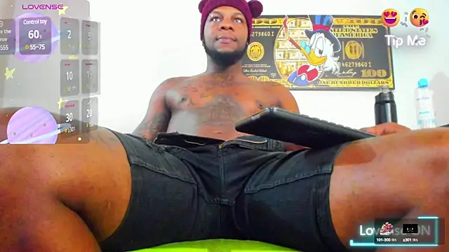 wotton 17 online show from March 2025 07:35:01 PM