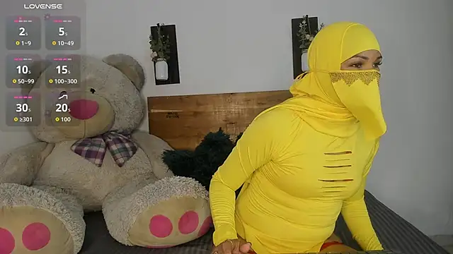 Snapshot of Sabba_sajjad chatting on November 2025 07:45:02 PM Sabba sajjad online show from November 2025 07:45:02 PM