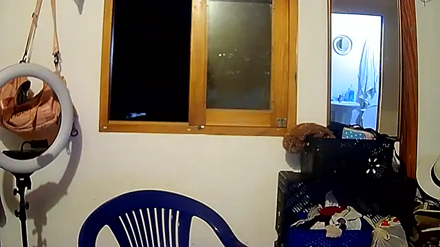 Snapshot of brittanycheeks chatting on December 2024 12:01:01 AM brittanycheeks online show from December 2024 12:01:01 AM