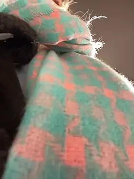 Snapshot of MerlinDave chatting on January 2025 01:42:02 AM MerlinDave online show from January 2025 01:42:02 AM