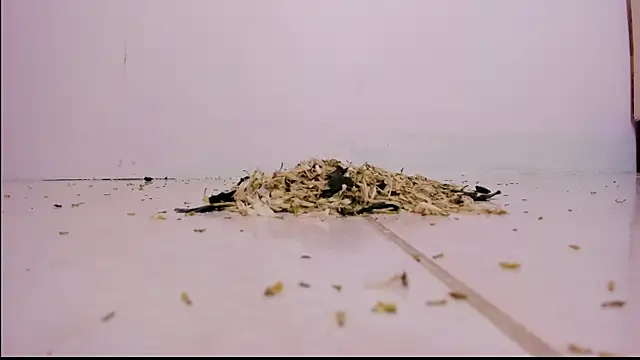 Snapshot of violeth_hill chatting on February 2025 11:26:02 PM violeth hill online show from February 2025 11:26:02 PM