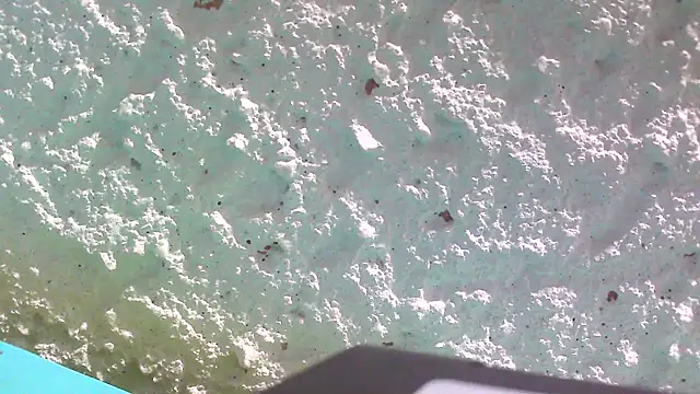 Snapshot of carolinesampaio chatting on March 2025 06:36:02 AM carolinesampaio online show from March 2025 06:36:02 AM