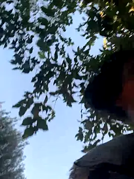 Snapshot of starrynikki chatting on October 2025 02:24:02 PM starrynikki online show from October 2025 02:24:02 PM