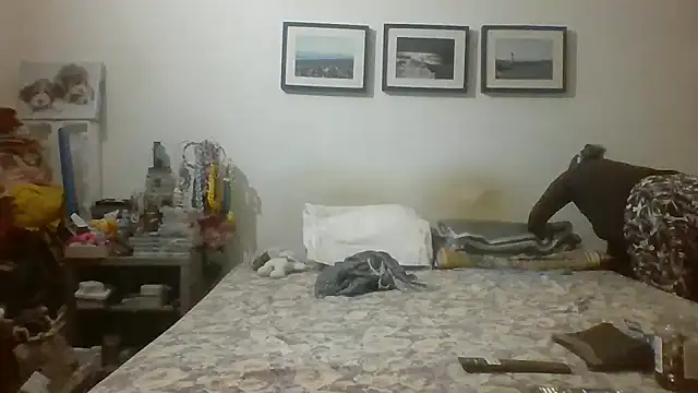 brasiliana49 online show from May 2026 06:07:02 PM