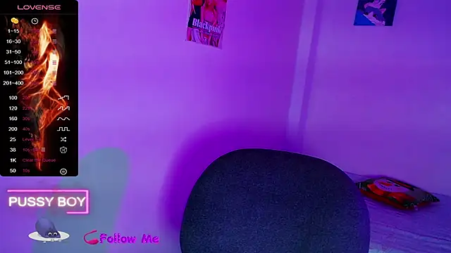 Snapshot of princeFtm chatting on December 2025 02:03:01 PM princeFtm online show from December 2025 02:03:01 PM