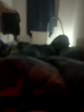 habbockwiesau online show from November 2025 10:09:01 PM