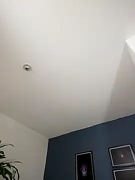 SilvaBranko online show from November 2025 11:03:01 PM