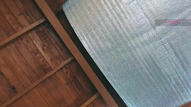 SilvaBranko online show from March 2026 10:05:01 PM