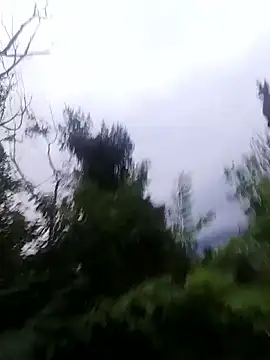 maleesa online show from October 2025 05:13:01 AM