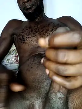 Bulletact online show from February 2026 02:06:02 AM