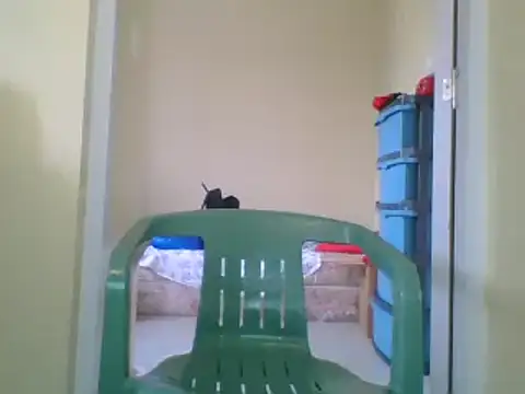 Snapshot of the_geisha_2021k chatting on January 2025 12:48:01 PM the geisha 2021k online show from January 2025 12:48:01 PM