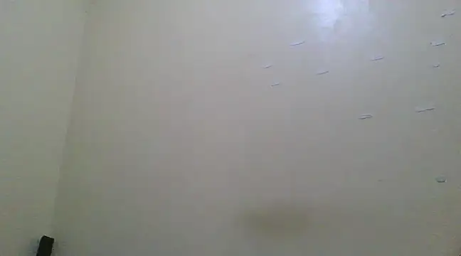 Snapshot of the_geisha_2021k chatting on March 2025 06:45:02 PM the geisha 2021k online show from March 2025 06:45:02 PM