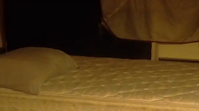 Armyexhibitionistvet online show from March 2026 11:03:01 AM