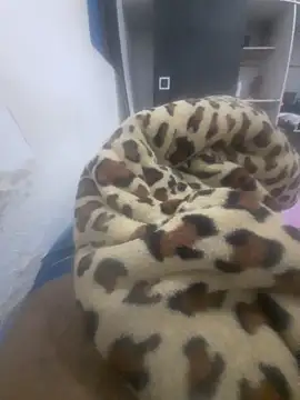 Rafs46 online show from February 2026 05:15:01 AM